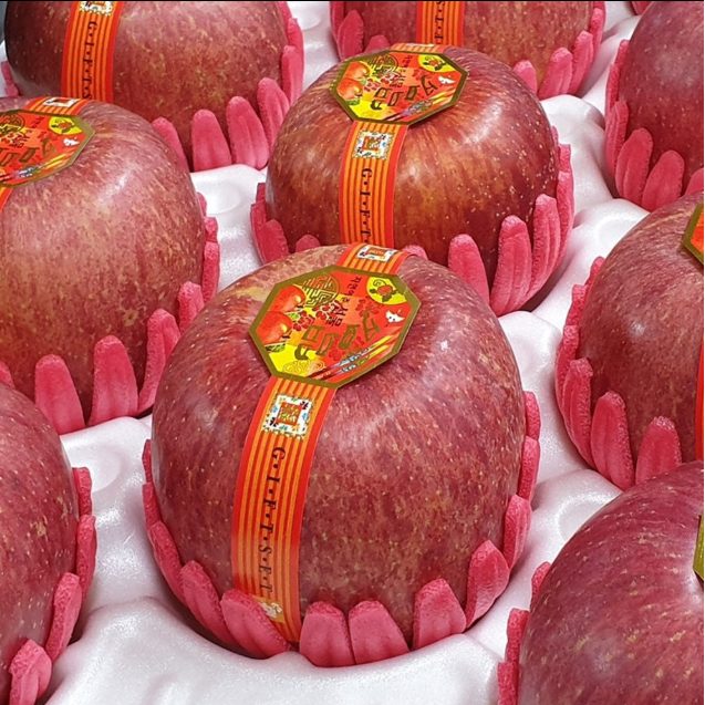 추석 설 명품 사과 선물세트 가정용 선물용 3kg 5kg 7kg 경북 안동 부사 아오리 썸머킹 아리수 홍로 유명한곳 햇 못난이 흠과 고급 백화점 프리미엄 제수용